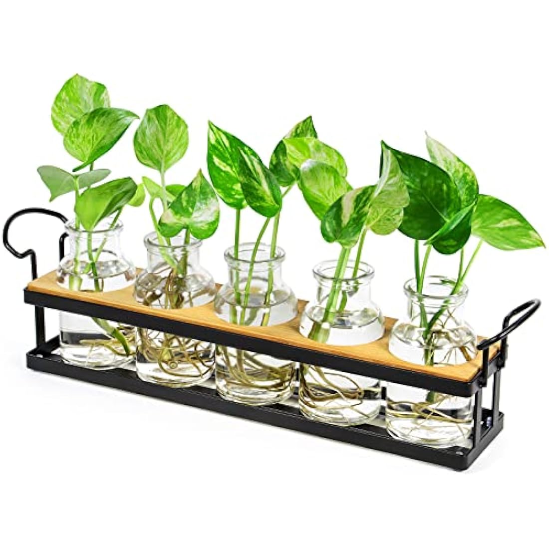 THYGIFTREE Plant Propagation Stations with Metal Stand, Tabletop Plant Terrarium for Propagating Hydroponic, Retro Glass Planter Flower Vase Home Kitchen Office Decor, Plant Lover Gifts, 5 Jars