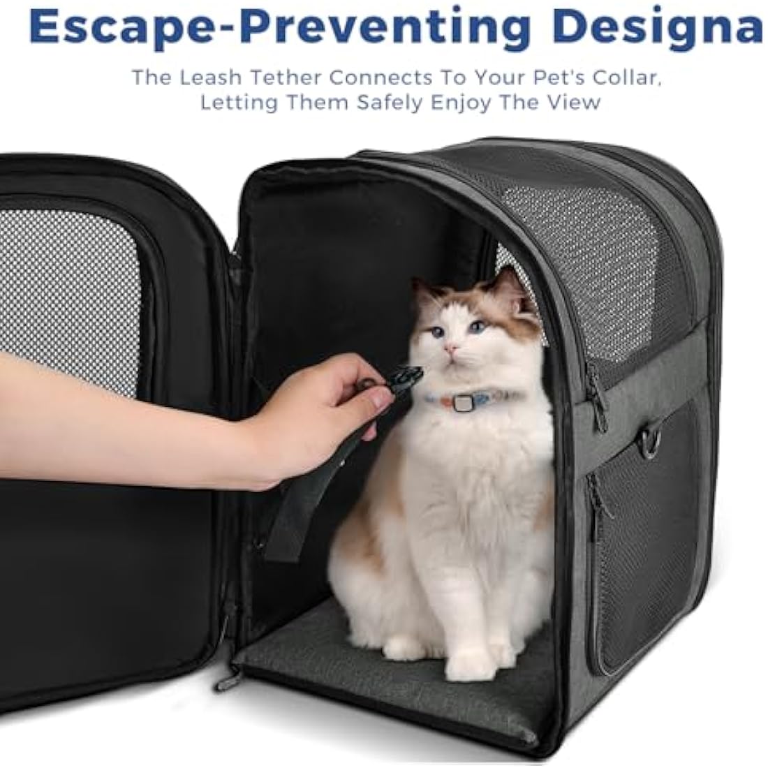 Apollo Walker Pet Carrier Backpack for Large/Small Cats and Dogs, Puppies, Safety Features and Cushion Back Support | for Travel, Hiking, Outdoor Use (Gray)