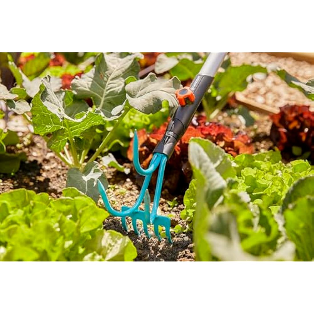 Gardena combisystem Grubber-Rake: Practical 2-in-1 garden tool, turquoise and black, one size, high-quality materials (03165-20)