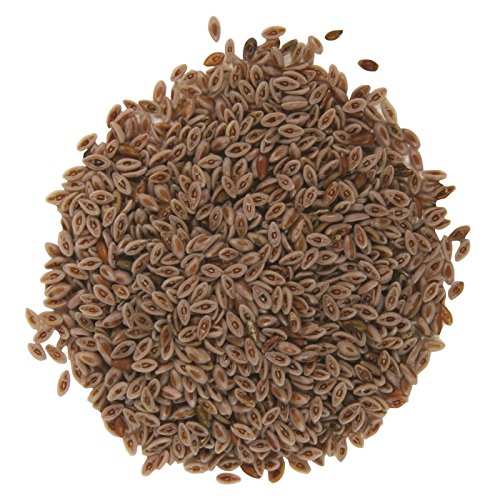 Psyllium Seeds Colon IBS Detox - Natural Fibre Free UK P&P (450g)