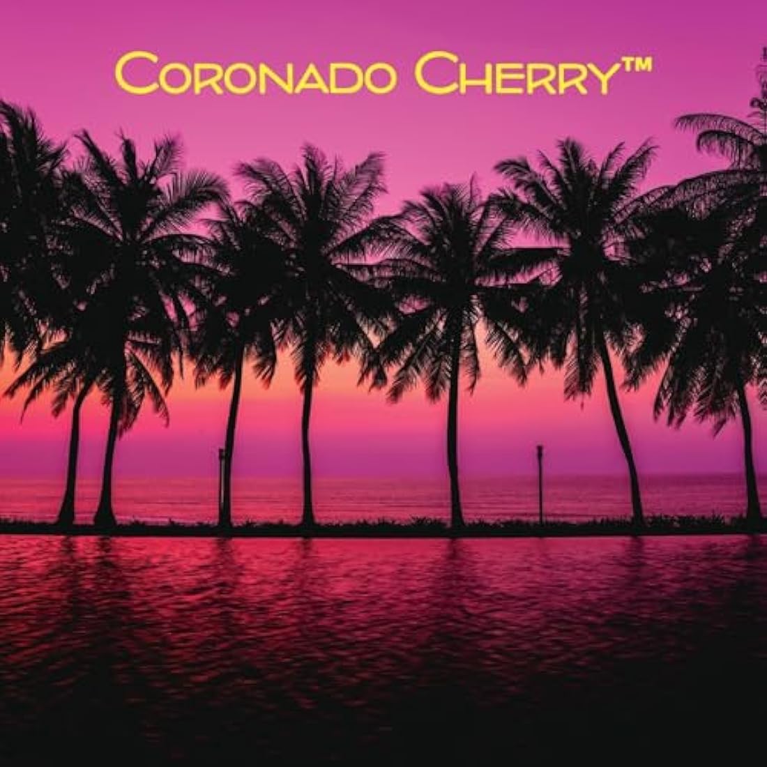 California Car Scents Coronado Cherry Air Freshener Home Van Office Taxi X 12