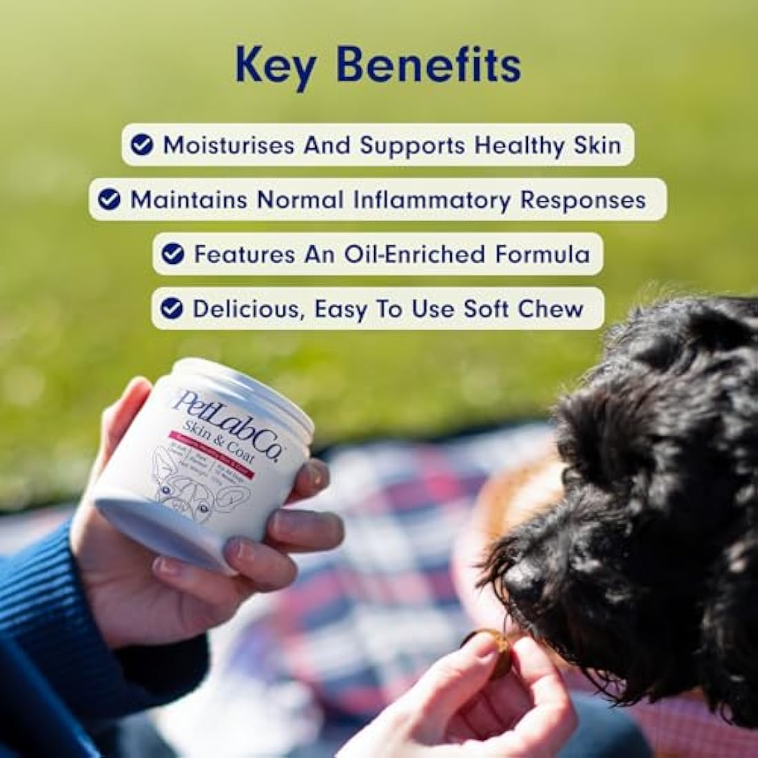 PetLab Co. Skin & Coat Chews - Support A Healthy, Comfortable Coat In Seconds A Day. Formulated With Beneficial Fatty Acids, Vitamins, Honey, & Turmeric To Optimize Skin and Coat Condition