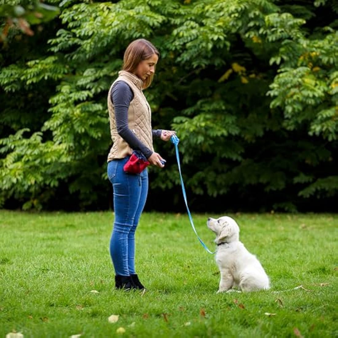 Company of Animals Multi-Clicker, Adjustable Volume, Loud and Quiet Clicks, Easy to Click, Wrist Strap, For all Dogs Including Sensitive Dogs and Puppies,Blue