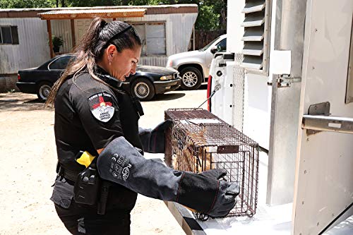 RAPICCA Animal Handling Gloves Bite Proof Reinforced Leather Padding Dog,Cat Scratch,Bird Handling Falcon Gloves Grabbing,Reptile Squirrel Snake Bite 22in/56cm