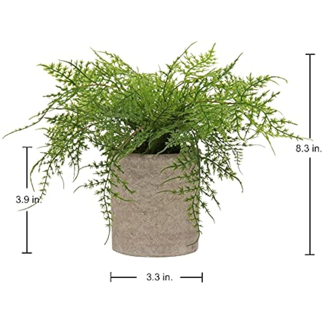 Artificial Potted Asparagus Fern Plant Fake Plant in pot, Small Decorative Faux Potted Herbs Indoor, Artificial Fern Grass for House Office Bedroom Desk Decor