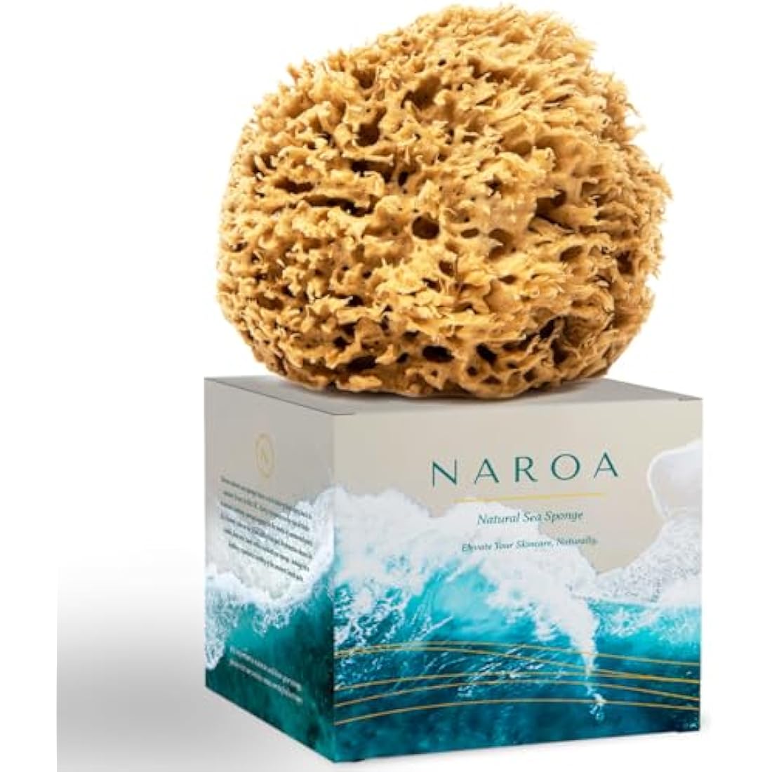 NAROA Natural Soft Honeycomb Sea Sponges for Shower in Gift Box | Gentle Sea Loofah for Healthy Skin | Smooth Body Puff Relaxing Bathing Men Women (Medium)