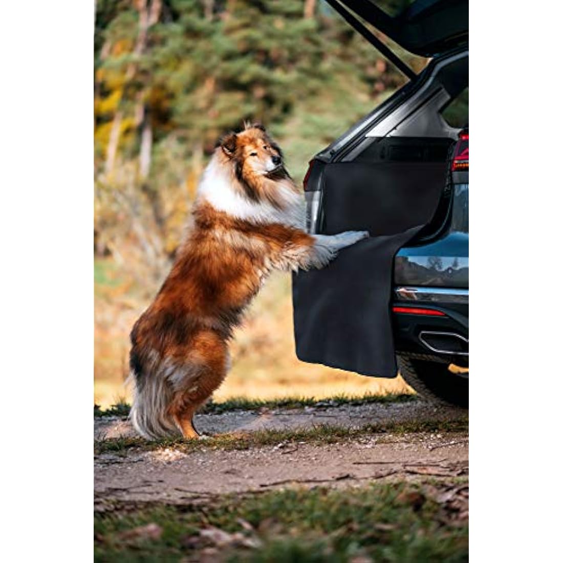 Rudelkönig car boot protector for dogs with bumper guard - Water repellent & easy to clean - Quilted car trunk cover with storage bag - Car boot liner protector