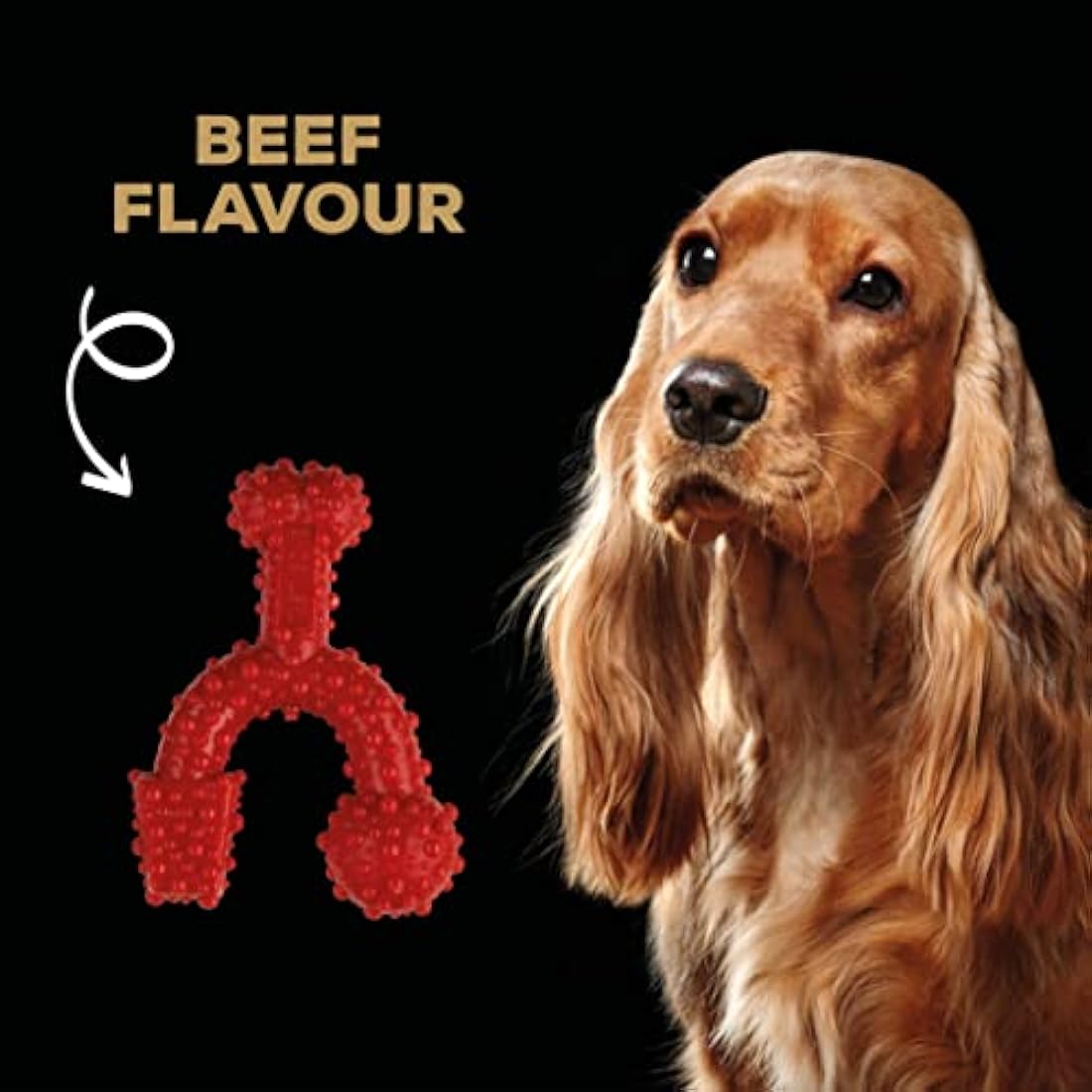 TastyBone TrioBone Nylon Dog Chew Toy for Small Dogs (Beef) - Indestructible for Aggressive Chewers, Everlasting Flavour, Strong Healthy Teeth, Made in the UK