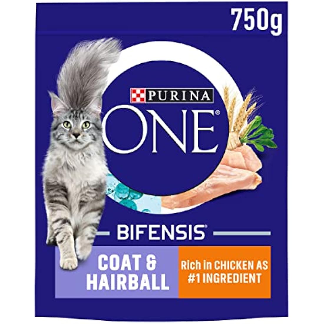 PURINA ONE Coat and Hairball Chicken Dry Cat Food 750g (Pack of 4)