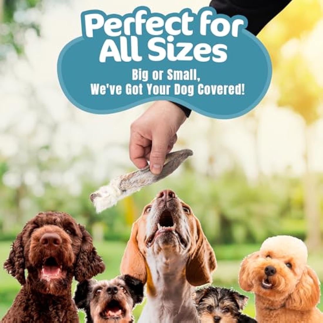 Rabbit Ears with Fur for Dogs - (1kg, 70-85 Ears), Premium Hypoallergenic, 100% Natural Raw Dog Treats, For All Large, Small, Adults & Puppies - UK COMPANY