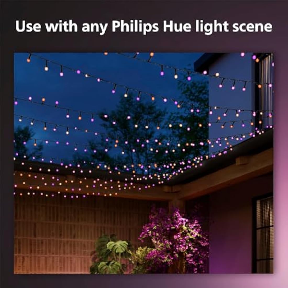 Philips Hue Festavia String Lights - 20 Meter - 250 LED's