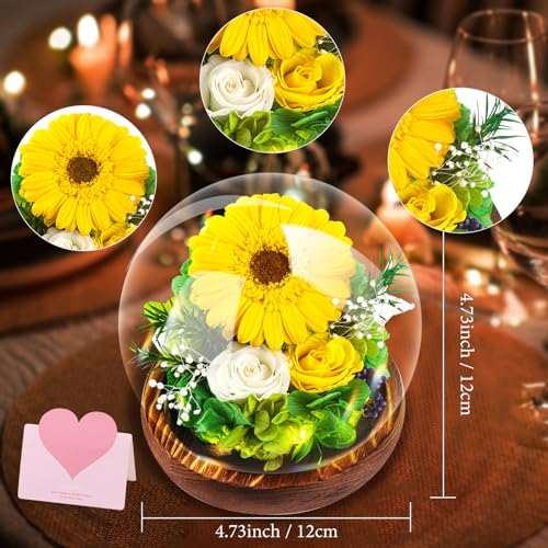Touloube Mothers Day Chrysanthemum Flowers Gifts for Women, Real Stabilized Sunflower Glass Dome, Eternal Sunflower with LED Lights&Gift Box, Advanced