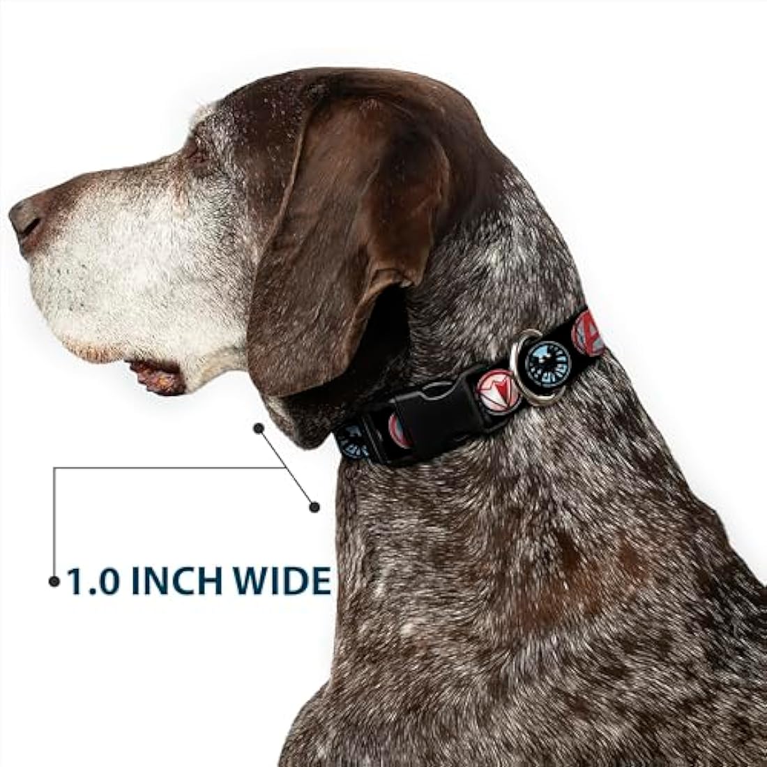 Buckle-Down 9Avenger Icons Black/Multi Color Marvel Avengers Plastic Clip Collar, Wide Large/18-32"