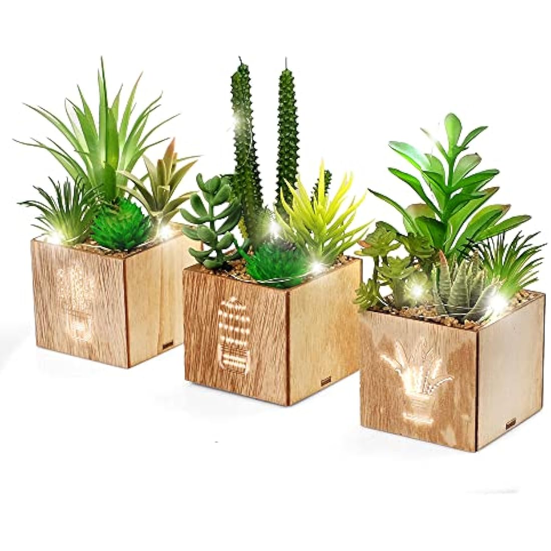 BEGONDIS Set of 3 Artificial Succulents with Led Lights in Wooden Box, Artificial Plants Plastic Fake Topiary for Home/Office Decorations, Table Centerpiece, Valentine's Day