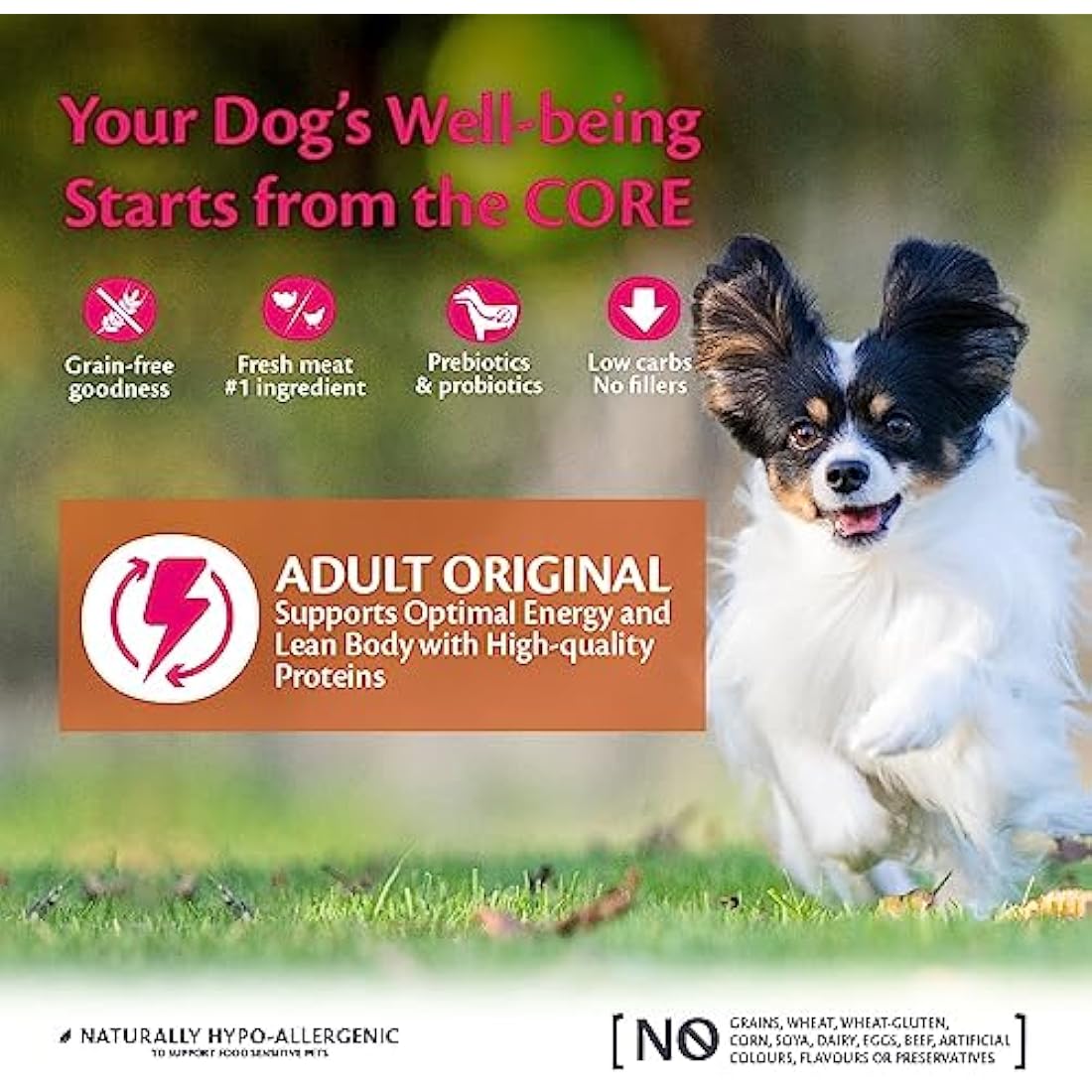 Wellness CORE Small Breed Original, 5kg, Chicken & Turkey, Dry Dog Food for Small Breed Dogs, All-Natural, Grain-Free, High Meat Content, Protein-Rich, No Added Sugar