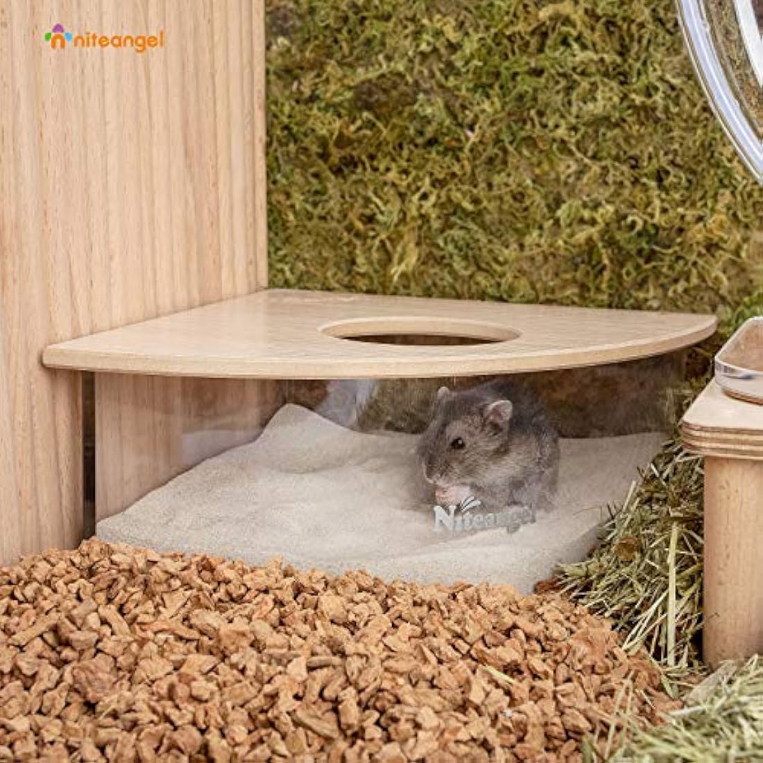 Niteangel Small Animal Sand-Bath Box - Acrylic Critter's Sand Bath Shower Room & Digging Sand Container for Hamsters Mice Lemming Gerbils or Other Small Pets