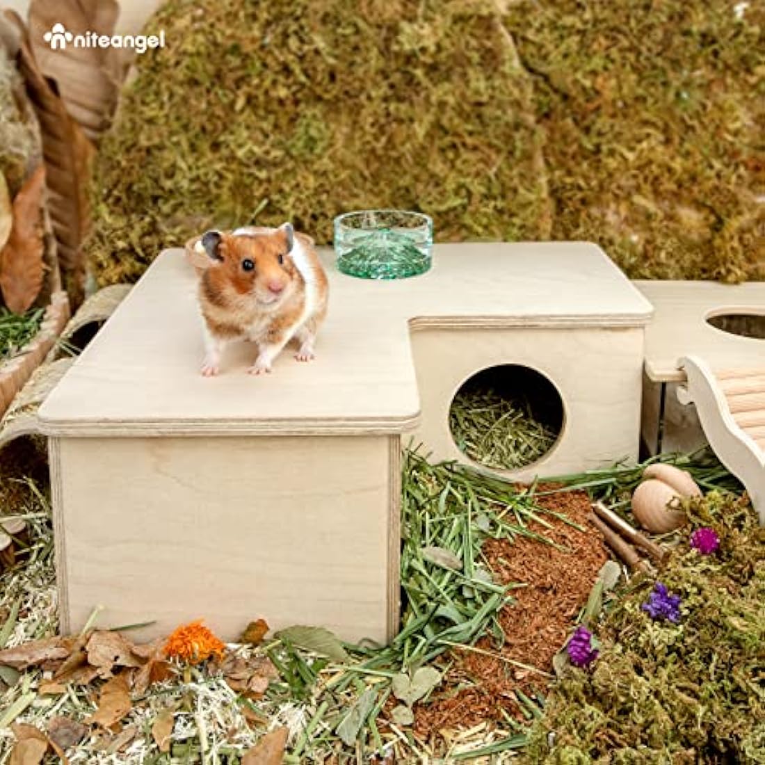 Niteangel Multi-Chamber Hamster House Maze - Multi-Room Hideouts & Tunnel Exploring Toys for Hamster Gerbils Mice Lemmings (3-Room Large)