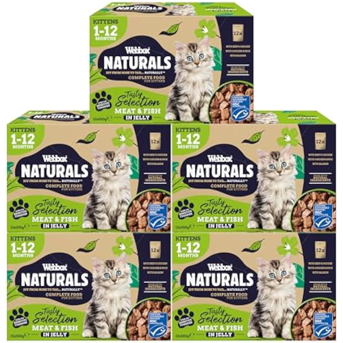 Webbox Naturals Complete Kitten (1-12 Months) Wet Cat Food, 60 x Meat & Fish in Jelly Variety Pack - Made with Natural Ingredients and No Nasties (60 x 100g Pouches)