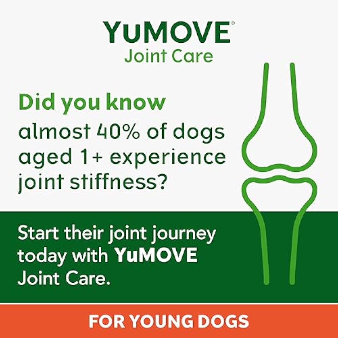 YuMOVE Joint Supplement for Young and Active Dogs, Essential Dog Hip and Joint Support with Glucosamine, Chondroitin & Green Lipped Mussel, for Dogs Aged up to 5, 240 Tablets