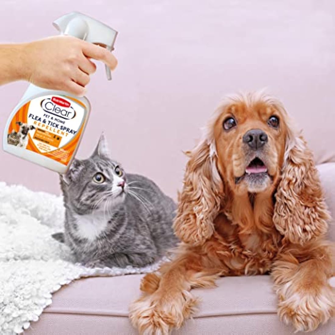 Bob Martin Clear Flea Repellent Spray for the Home, Dogs and Cats - Controls Flea and Tick Infestations in the Household (300ml)