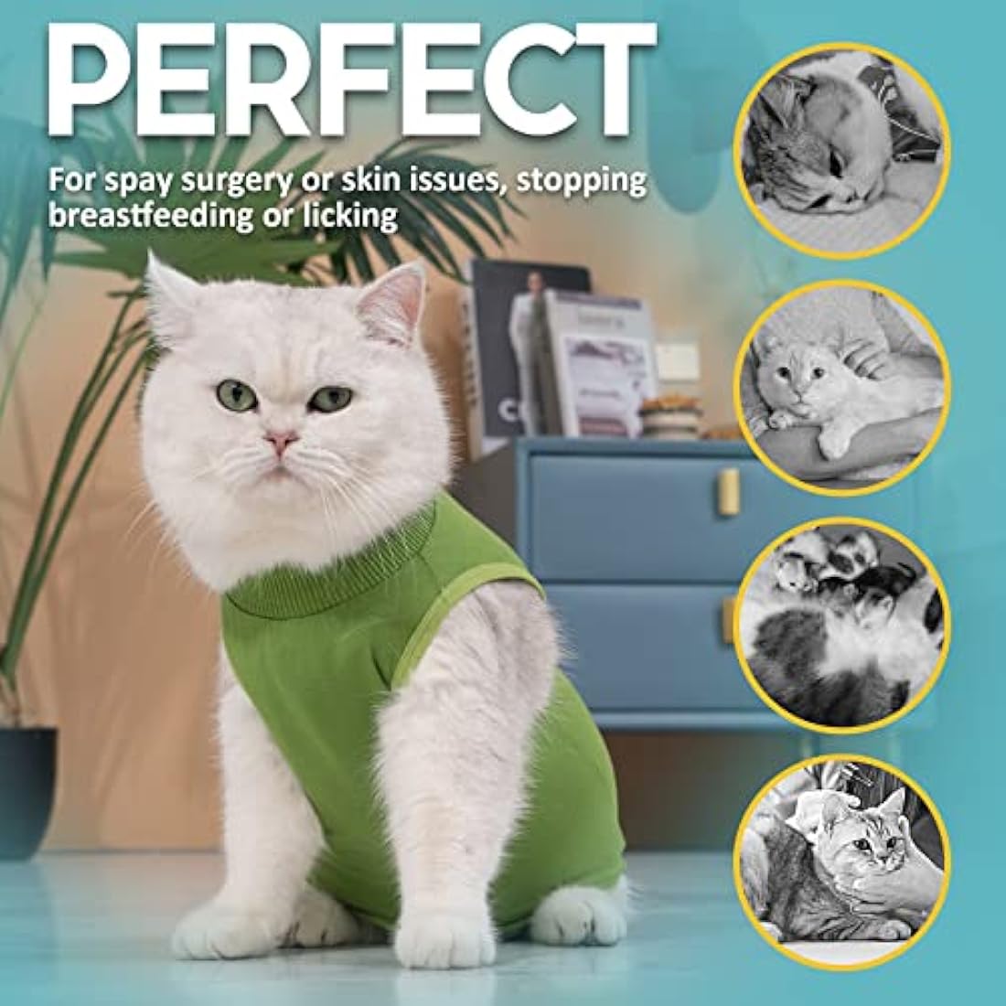 Avont Cat Recovery Suit Post Surgery, Elizabethan Collar & Cone Alternative, Kitten Onesie Pet Surgical Spay Shirt for Abdominal Wounds or Skin Diseases -Green (M)
