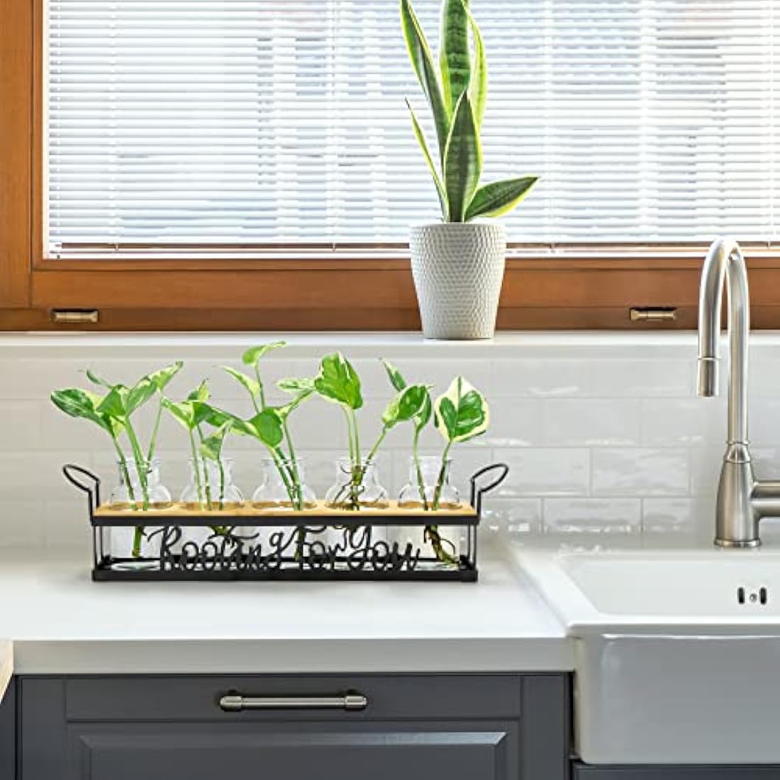 THYGIFTREE Plant Propagation Stations with Metal Stand, Tabletop Plant Terrarium for Propagating Hydroponic, Retro Glass Planter Flower Vase Home Kitchen Office Decor, Plant Lover Gifts