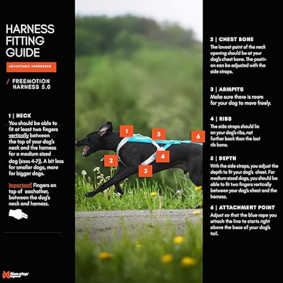 Non-stop dogwear Freemotion harness 5.0 Dog Pulling Harness for Sports like Running, Biking and Skiing with Dogs, Professional Adjustable Dog Harness, Orange/Black, Size 6