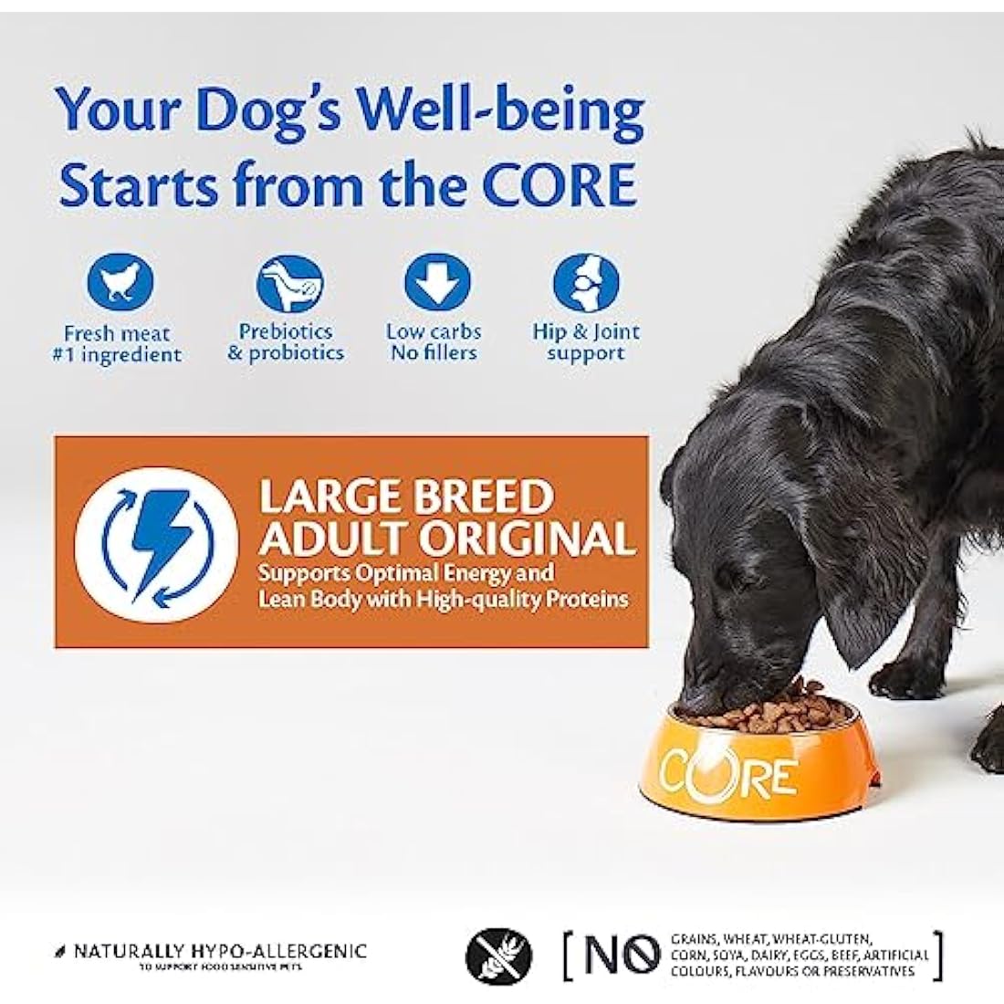 Wellness CORE Large Breed Adult Original, 10kg, Chicken, Dry Dog Food for Large Breeds, Grain-Free, High Meat Content, Protein-Rich, Supports Healthy Hips & Joints