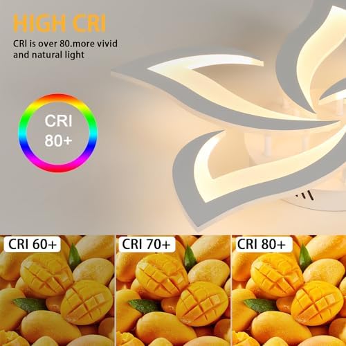 Comely LED Ceiling Light, 60W 6750LM Modern Lamp, Elegant Petal Design Light for Living Room Bedroom Dining Room (Warm Light 3000K, Dia 60cm)