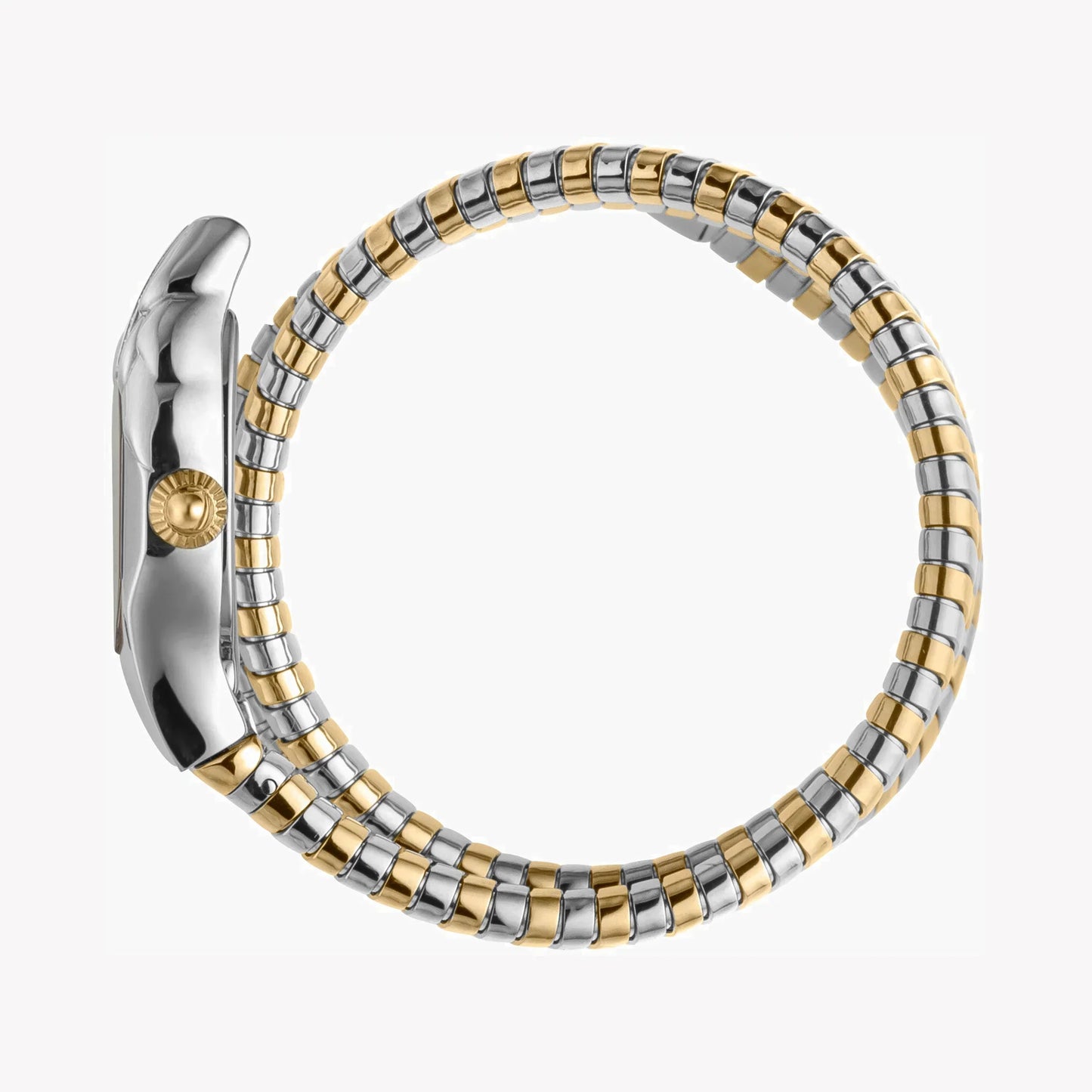 Just Cavalli Women's Silver & Gold Watch, Silver Dial | Jc1l022m0045