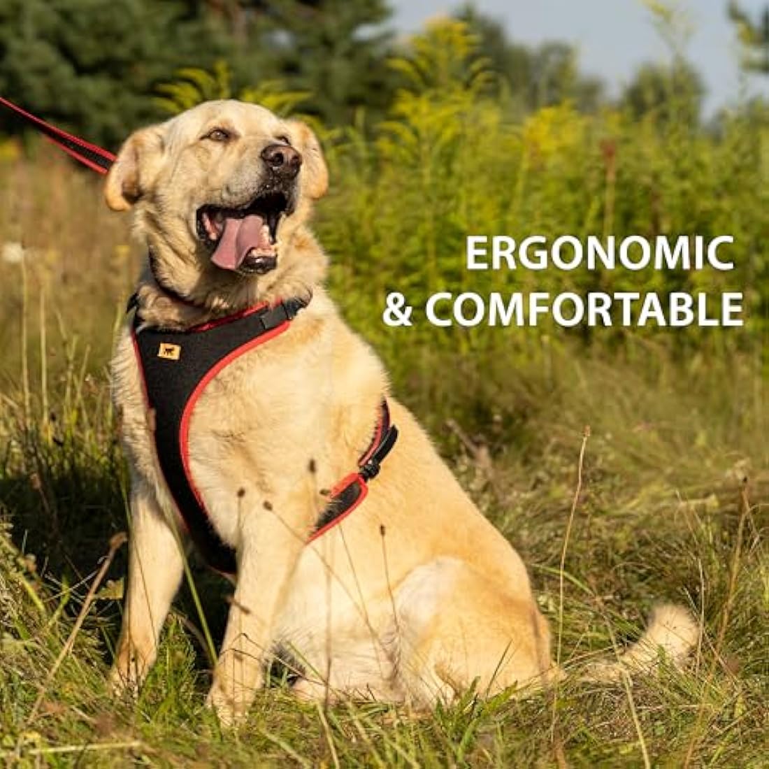 Ferplast Large Size Dog Harness ERGOCOMFORT LARGE, Adjustable Dog Harness, Comfortable, Padded, Double Micro-adjustment Closure, Quick Release, Red