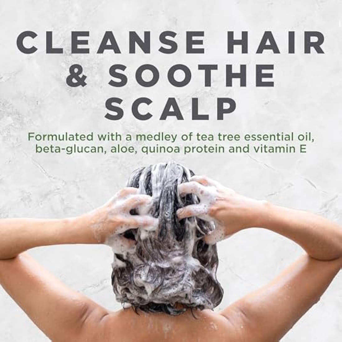 Avalon Tea Tree Scalp Treatment Shampoo 325 ml