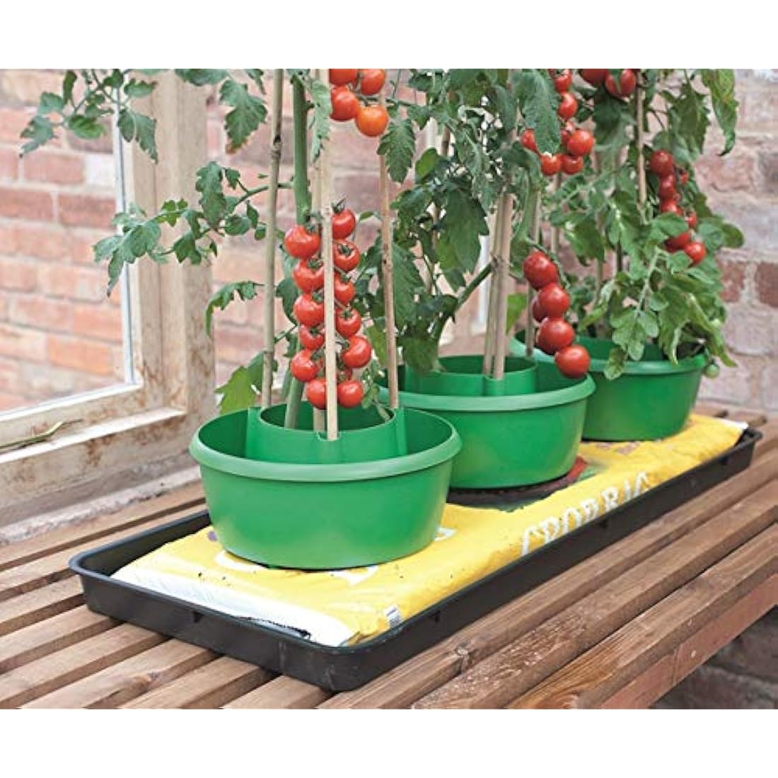 Plant Halos Pots Watering Crop Support Garden Plant Halo (9, GREEN)