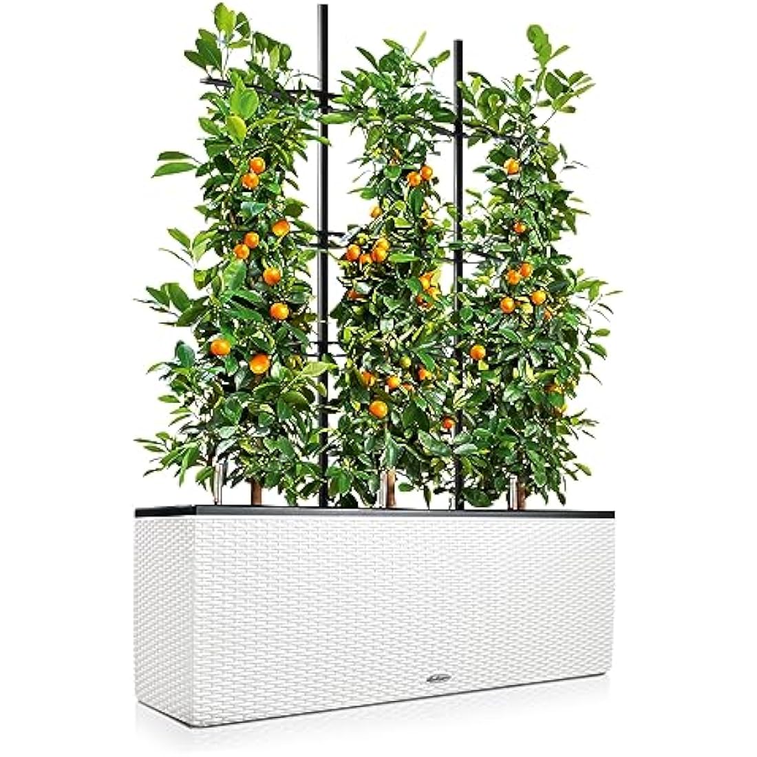 LECHUZA TRIO Cottage 30 white 15000
