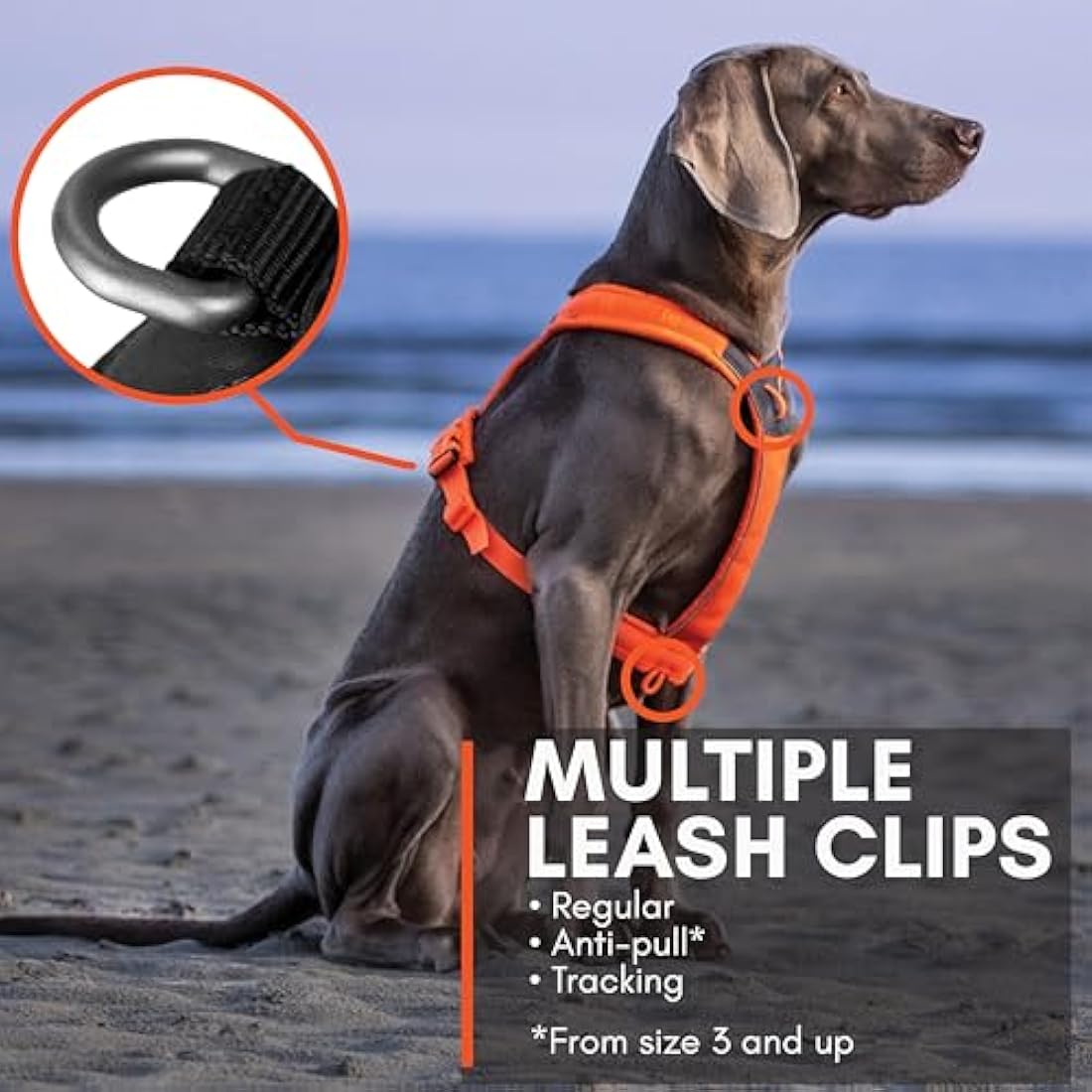 Nonstop Line Harness, Chest Harness, Guide Harness for Dogs, Adjustable Size (5, Orange)