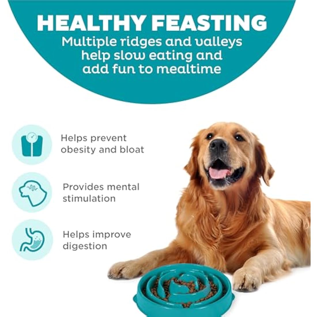 Outward Hound Slow Feeder Dog Bowl - Makes Meal Time Fun, Slows Down Eating, Promotes Healthy Digestion, Prevents Bloat | Slip Resistant and Durable, Food and Water Bowl, Size Large (Turquoise)