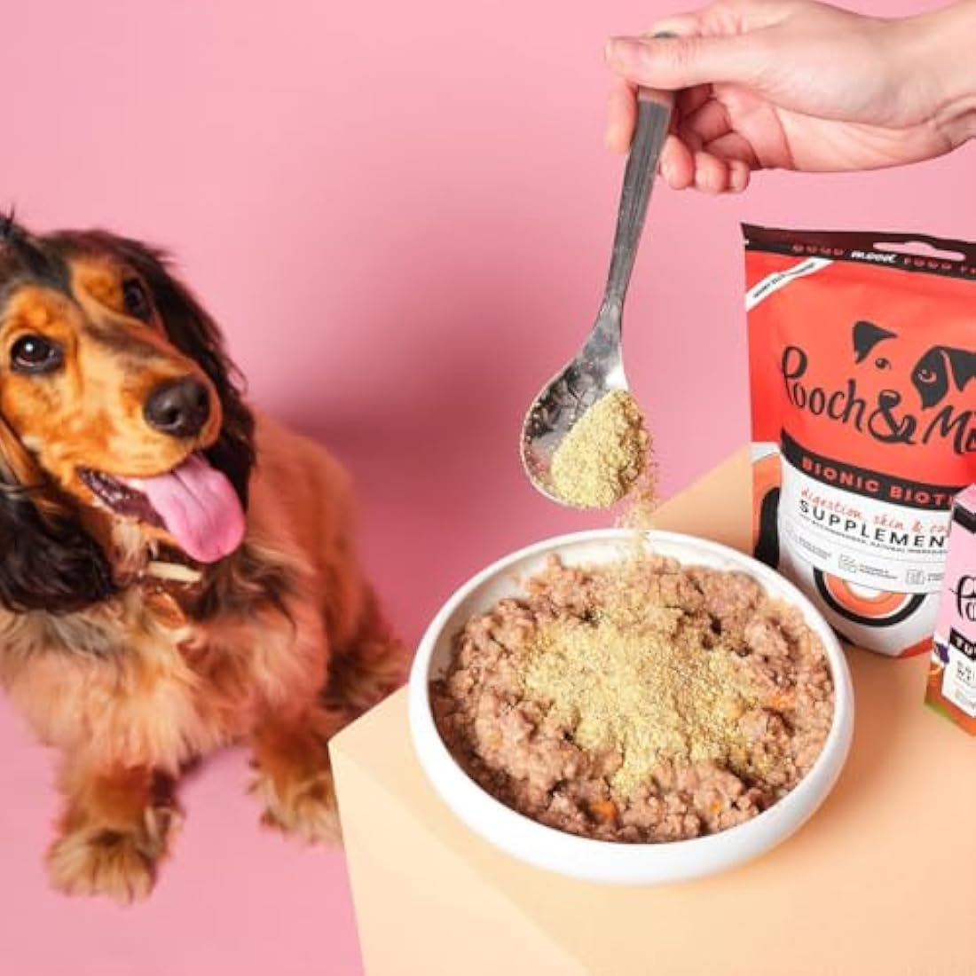 Pooch & Mutt - Bionic Biotic, Supplement for Dog Digestion (Healthy Skin and Glossy Coat), 200g