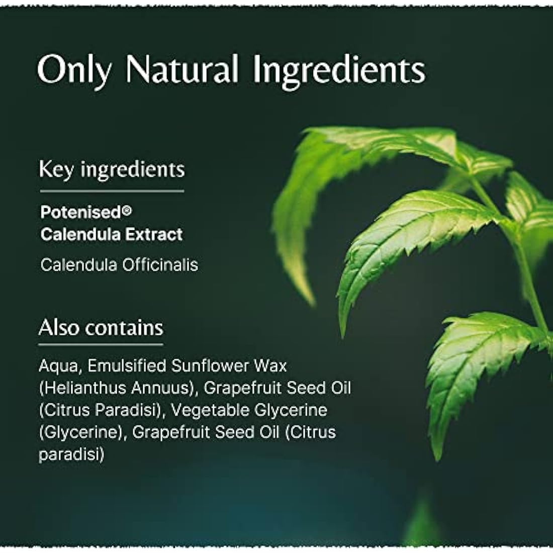 Mistry's Calendula Cream 50g - Calms & Hydrates, Muti-Purpose Skin Cream for Healing Cuts, Sores and Treating Rough Skin - Additive Free, Vegan,