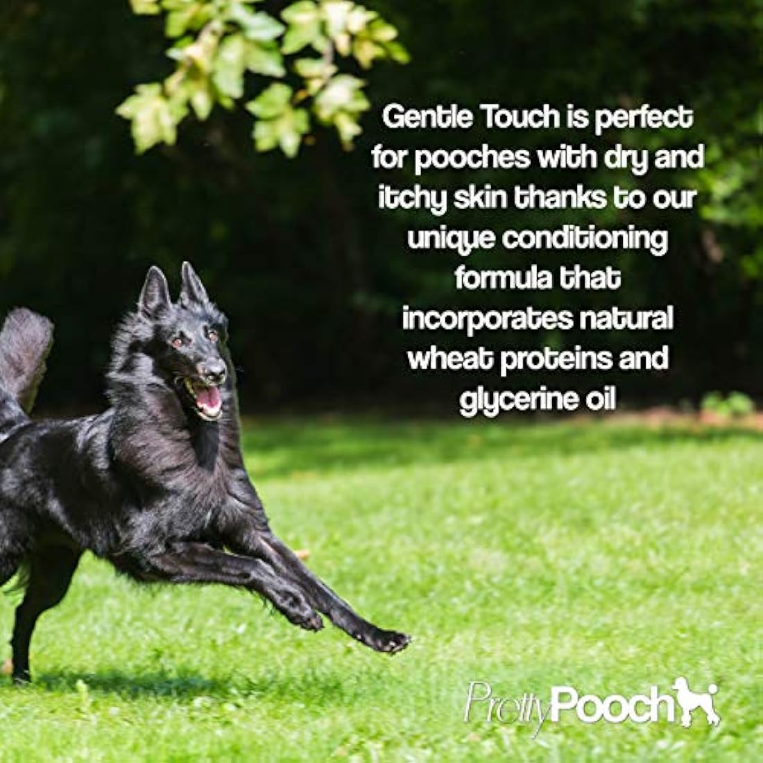 Pretty Pooch Gentle Touch Dog Shampoo & Conditioner (Baby Powder Fragrance) - A Non-itchy, Professional Deep Cleaning Shampoo for Dogs with Sensitive Skin! (5 Litre Baby Powder)