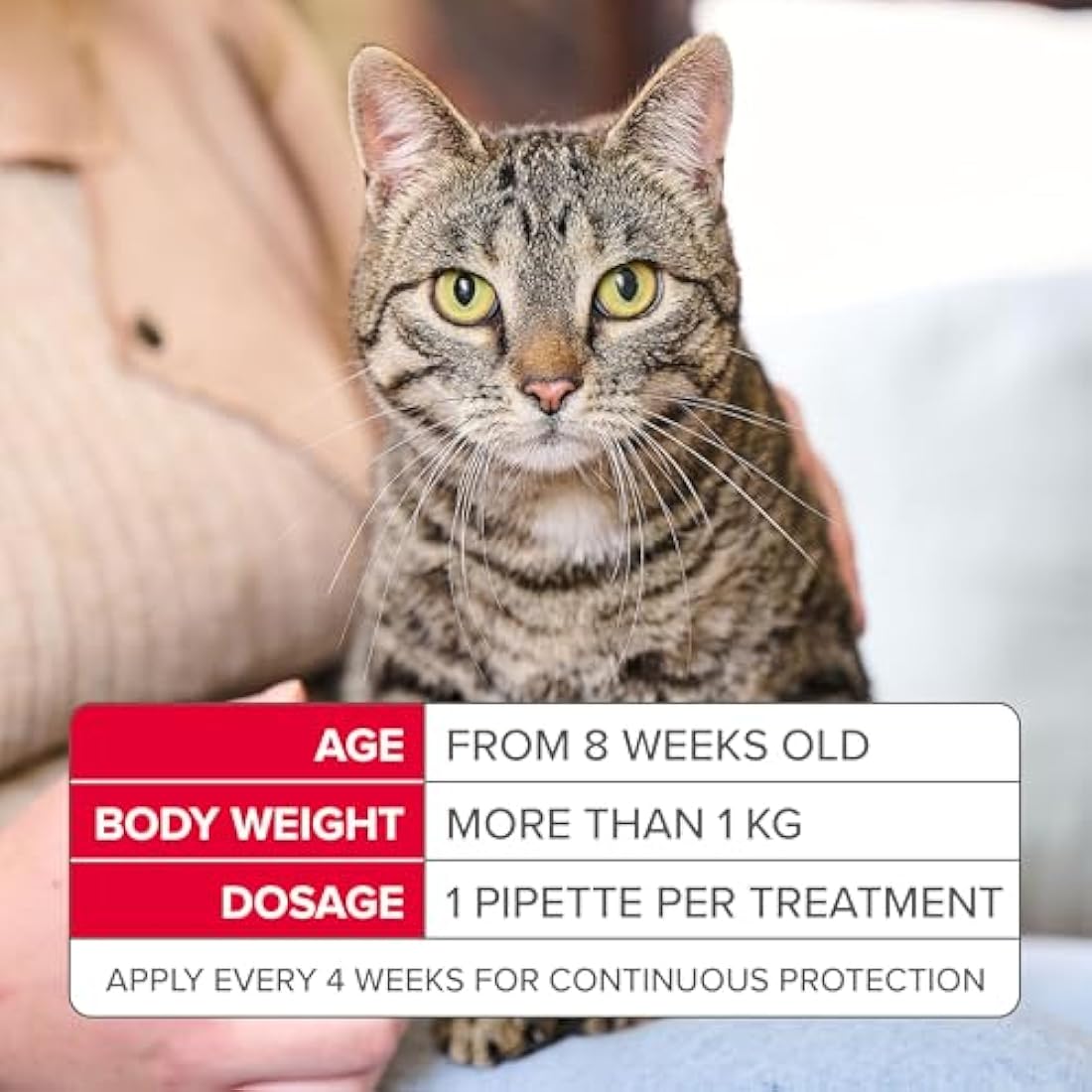 Beaphar - FIPROtec® COMBO for Cats – 3 pipettes - Kills Fleas, Flea Eggs, Flea Larvae & Ticks - Stops Fleas Multiplying on Pet and in Home - Vet Strength Cat Flea Treatment