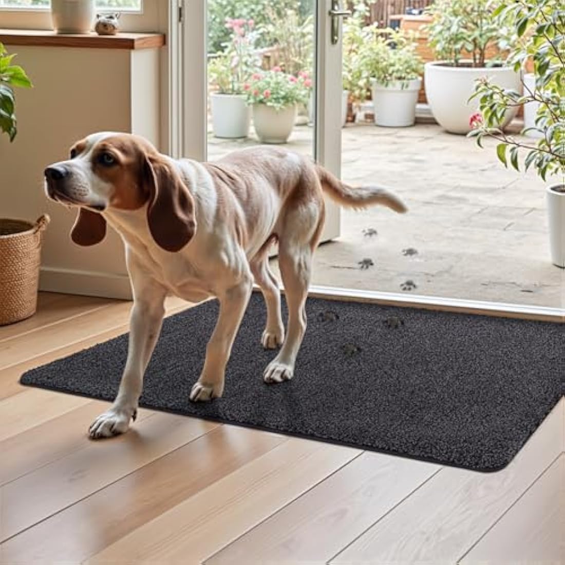 DEXI Dirt Trapper Door Mat Indoor, Non-slip Doormats Inside, Machine Washable, Super Absorbent Entrance Mats Soft Floor Carpet Rug, 80 x 120 cm, Black-Grey