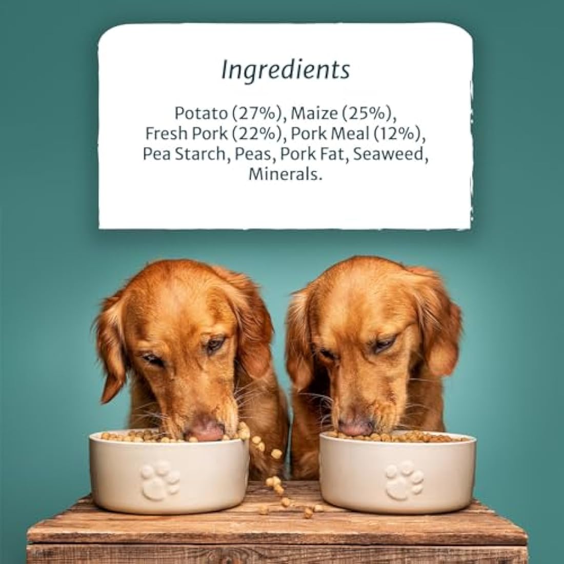 Burns Pet Nutrition Hypoallergenic Complete Dry Dog Food Adult and Senior Dog Sensitive with Pork and Potato 6 kg