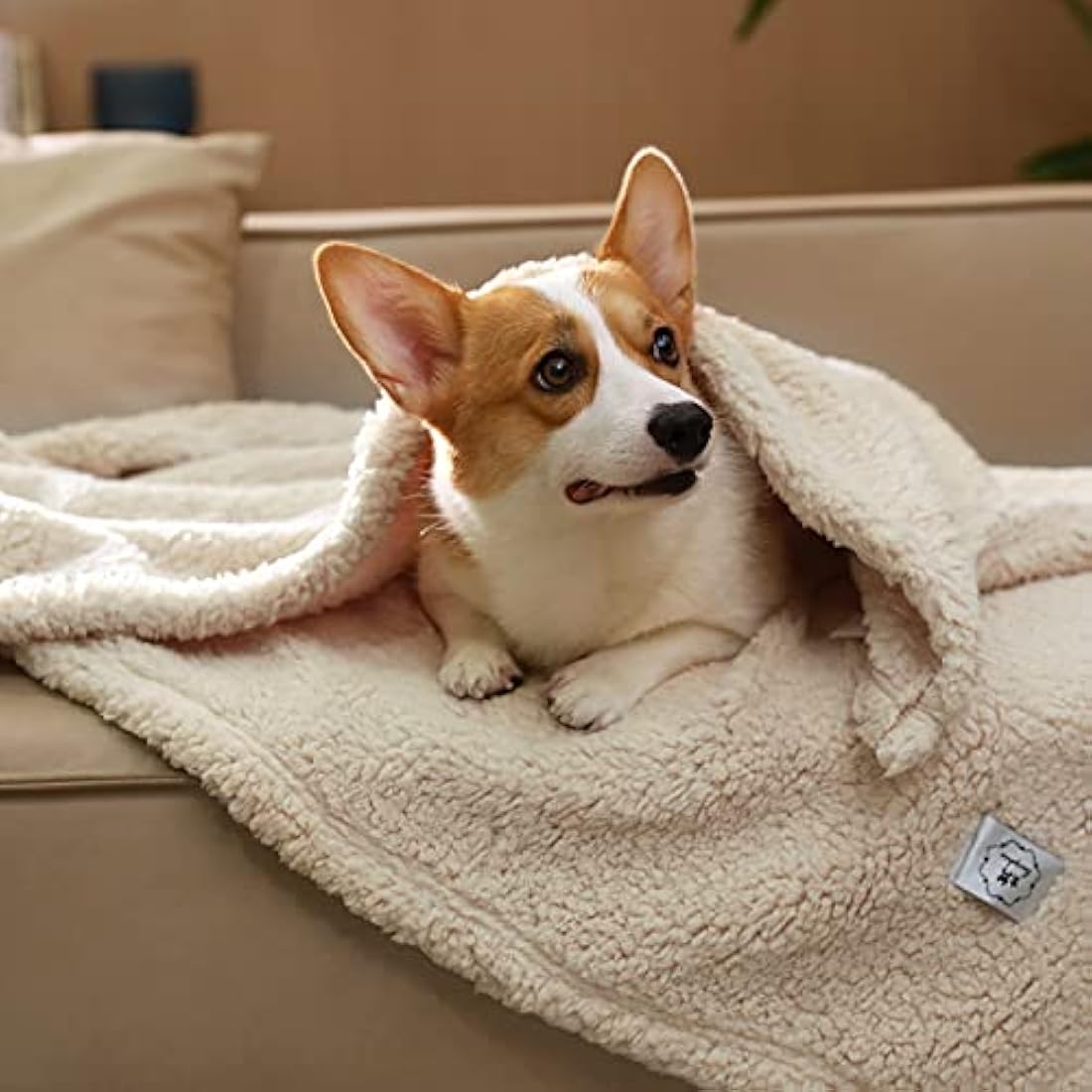 luciphia 1 Pack 3 Blankets Super Soft Fluffy Premium Fleece Pet Throw for Dog Cat Puppy Beige L-40"x29"(104 * 76cm)