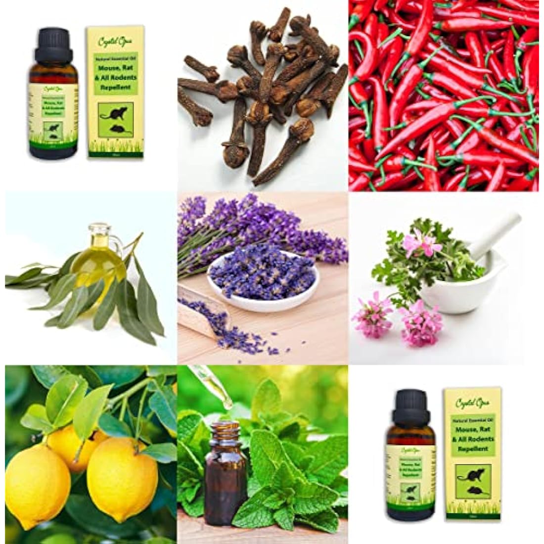 Makes 10 litres of Mouse, Rat & All Rodent Repellent Spray. Peppermint Oil Based. Tried & Trusted. Including Eucalyptus, Citronella, Lemon, Chilli, Lavender & Clove. Ultra-Effective Safe Deterrent.