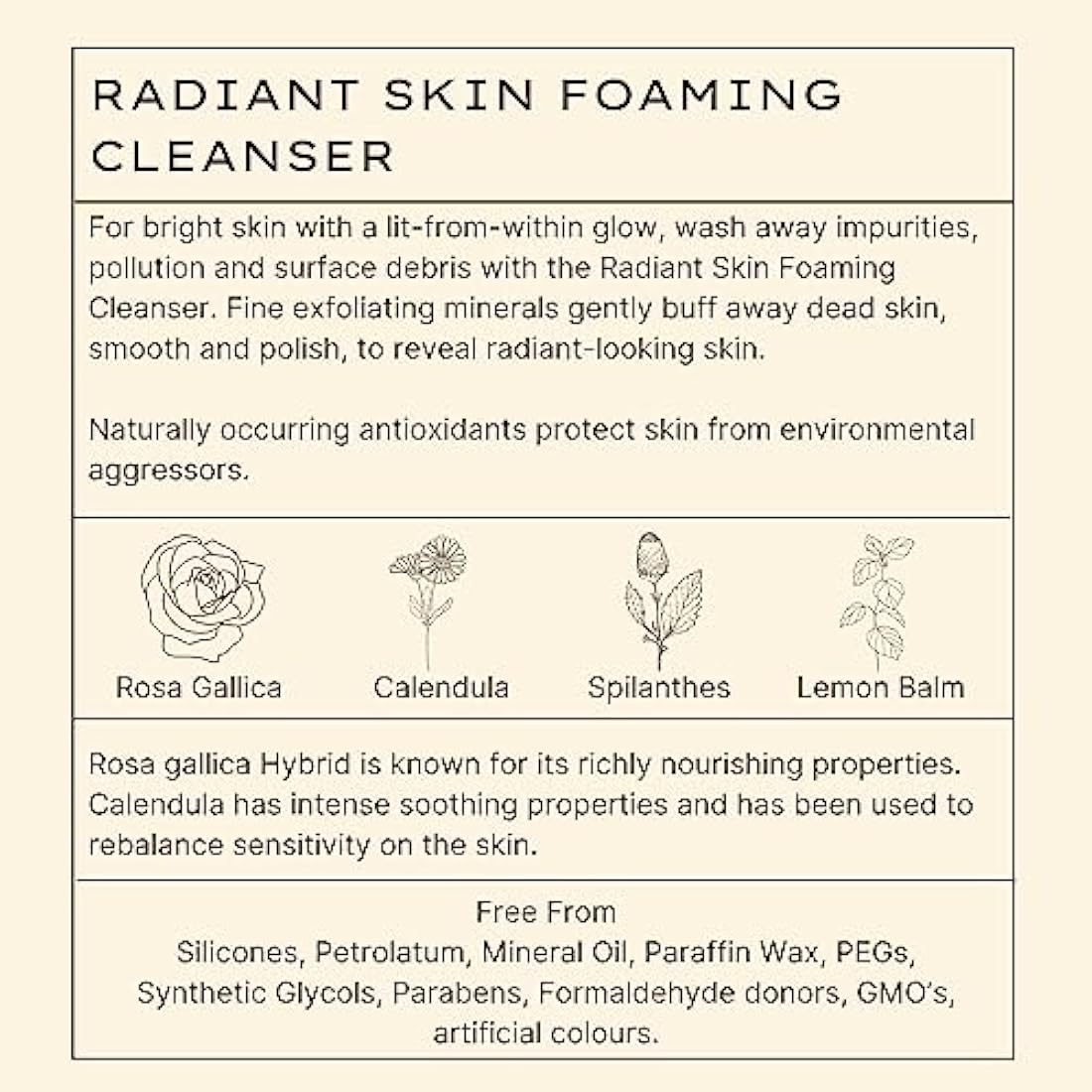 Jurlique - Radiant Skin Foaming Cleanser - All Skin Types - Contain Naturally Occurring Antioxidants - Fine Pumice - Parabens Free - 80g