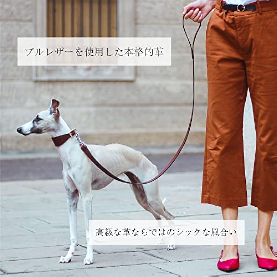 Ferplast VIP G20/150 Dog Lead, 20 mm/ 150 cm, Brown