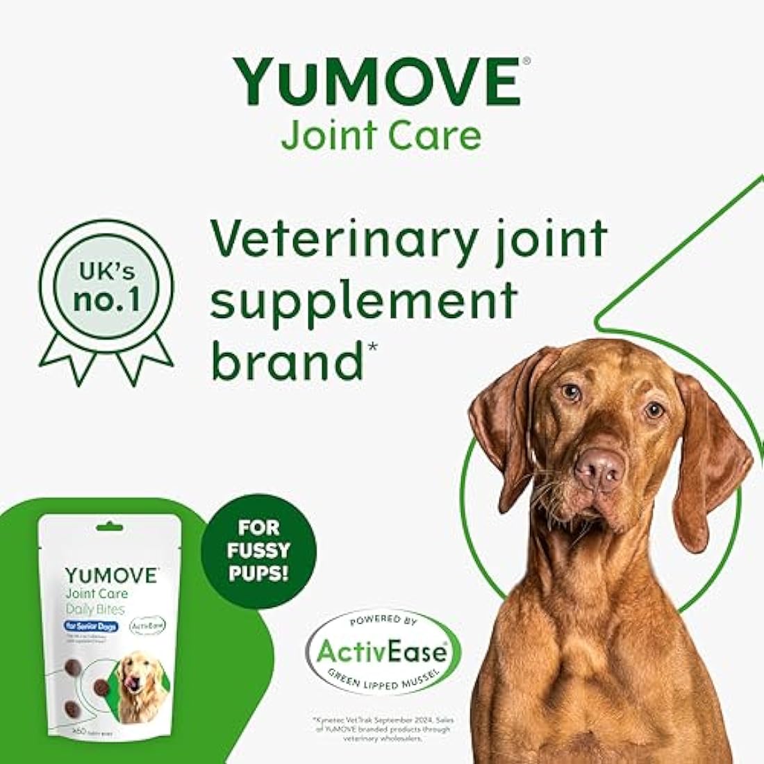 YuMOVE Senior Dog Joint Supplement, Daily Bites for Joint Care, Essential Dog Hip and Joint Aid for Senior Dogs with Glucosamine, Chondroitin, Green Lipped Mussel, Aged 8+, 60 Chews