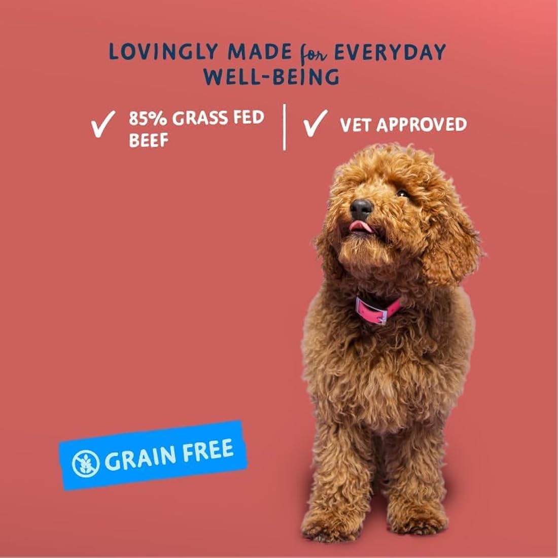 Barking Heads Wet Dog Food - Beef Waggington - No Artificial Flavours - Grain-Free Recipe (10 x 300 g)