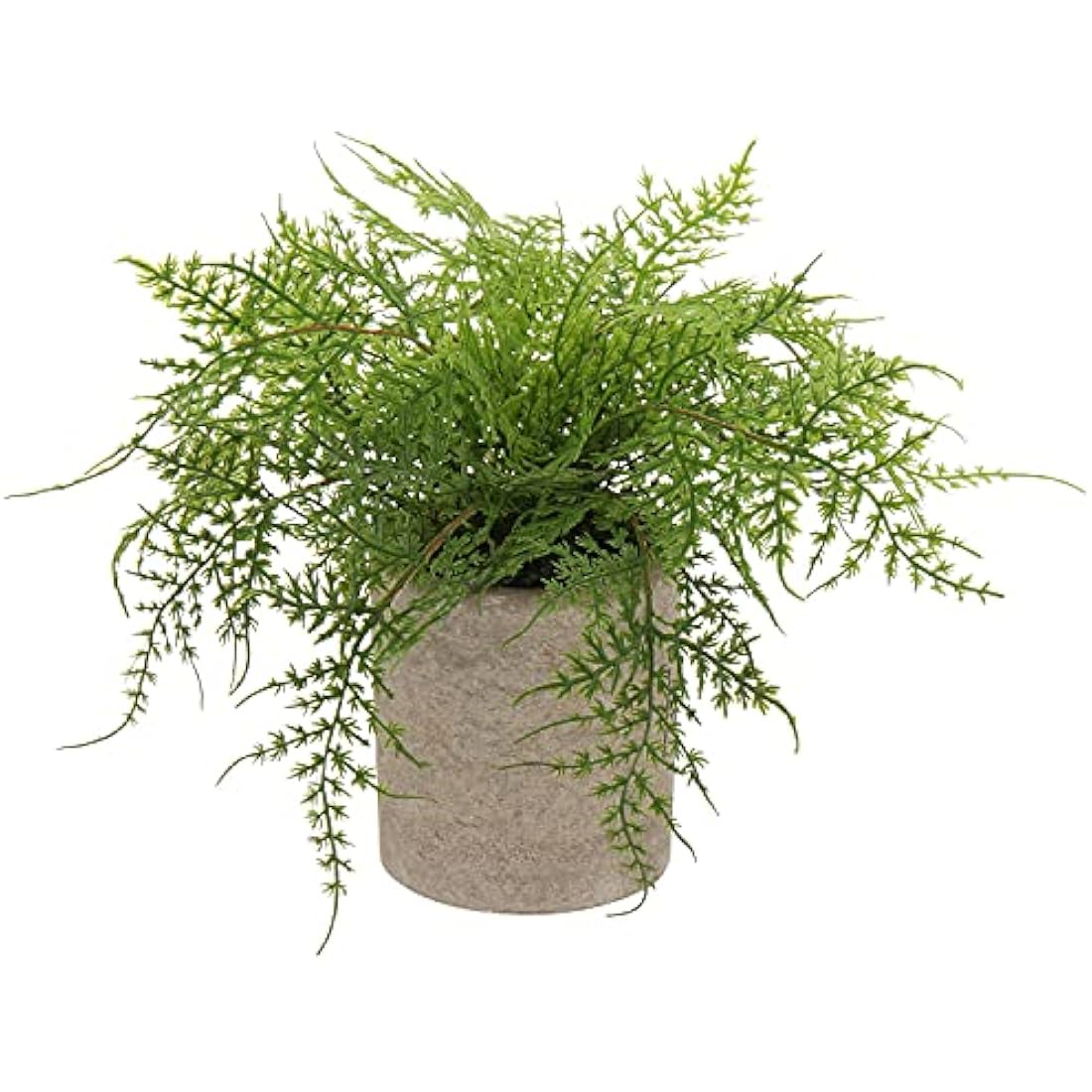 Artificial Potted Asparagus Fern Plant Fake Plant in pot, Small Decorative Faux Potted Herbs Indoor, Artificial Fern Grass for House Office Bedroom Desk Decor