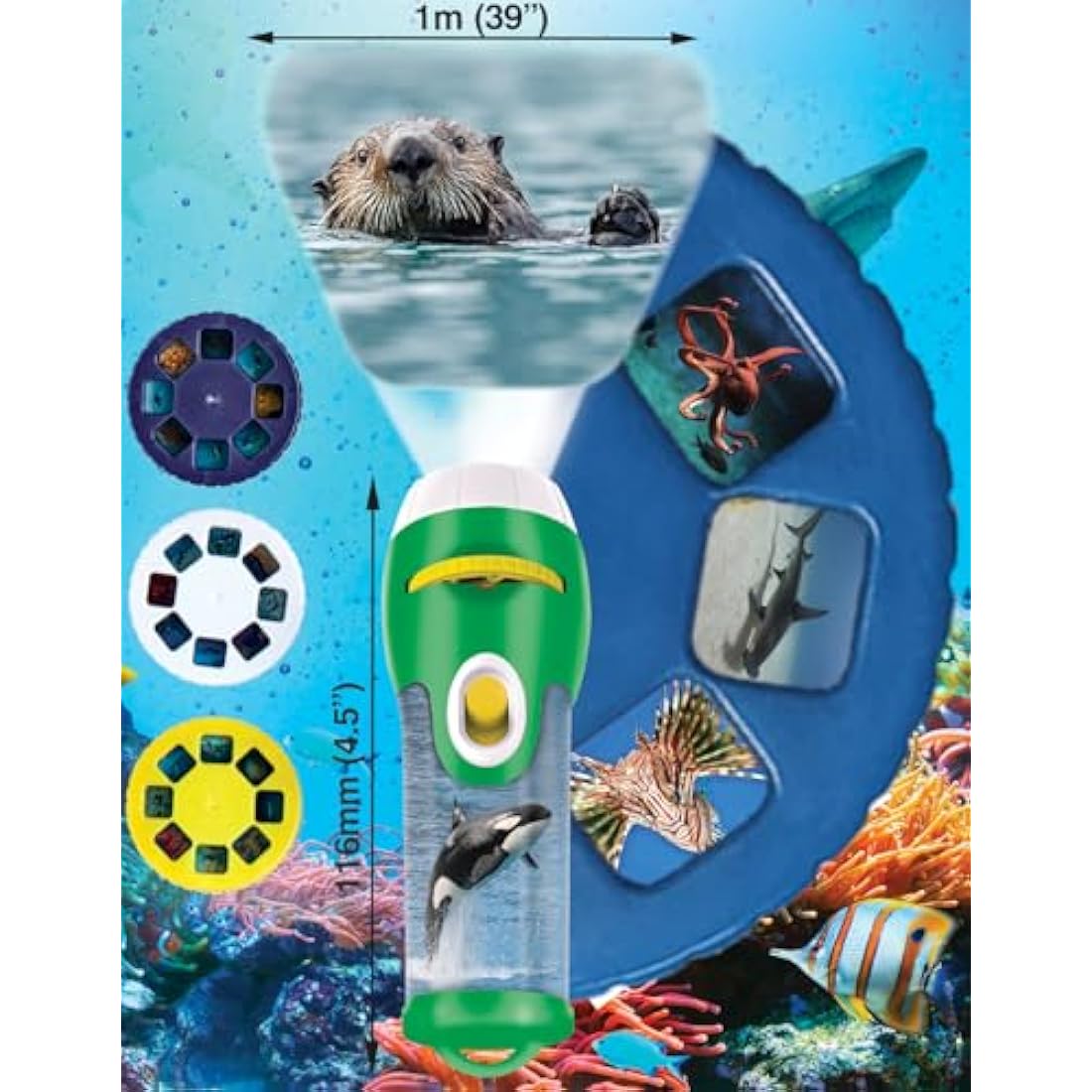 Natural History Museum Sea Creatures Stem Torch & Projector – 24 Ocean Animal Image Slides, Precise Projections up to 1 Metre Wide, Interactive Kids Fish Flashlight Toy
